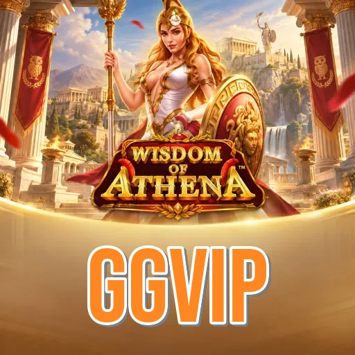 Screenshot 3 - ggvip Settings
